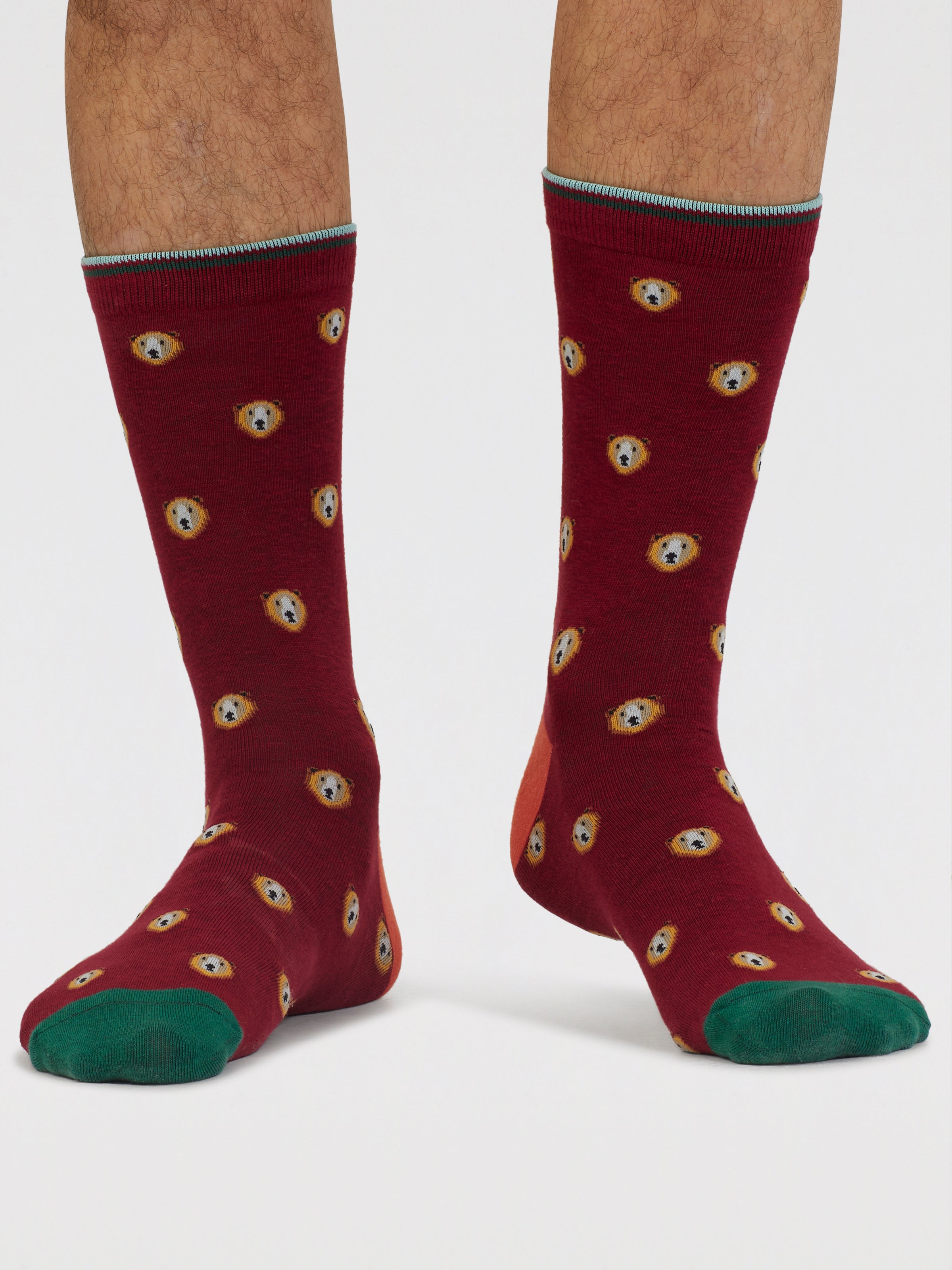 Axel Bear Organic Cotton Socks - Elderberry Red